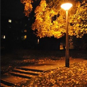 Meet your Posher, Cylie